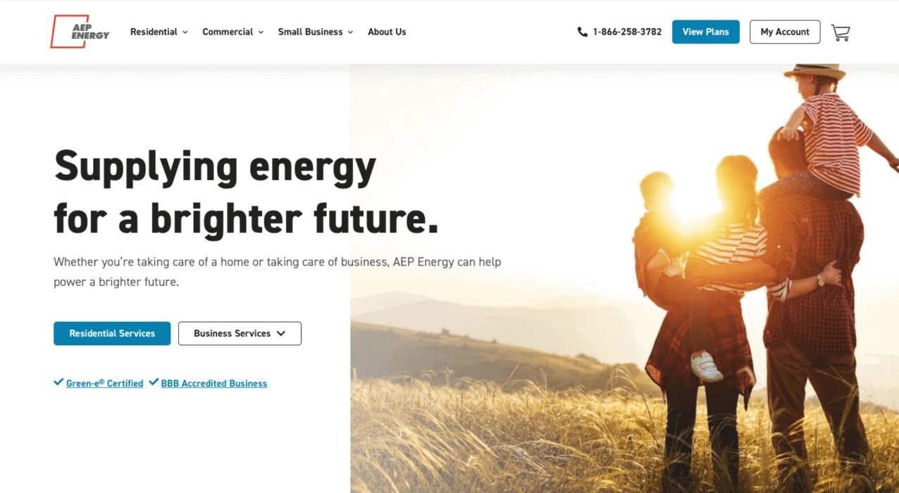 Screenshot of regional energy supplier's website.