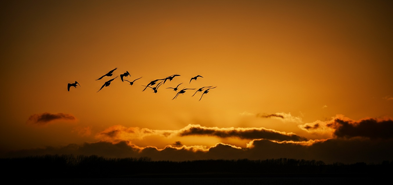 Marketing Automation Platform Migration Checklist 