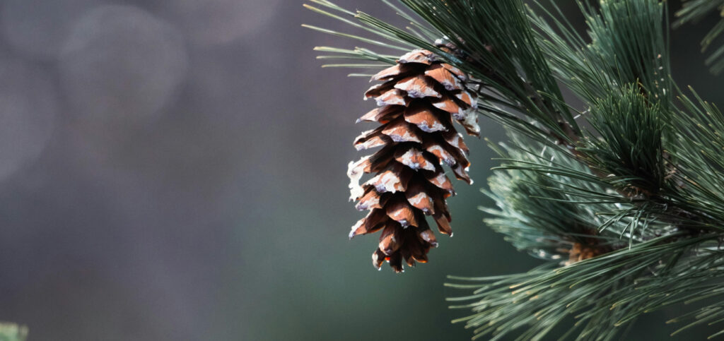 Wrapping Up 2025: Highlights That Shaped the Year 