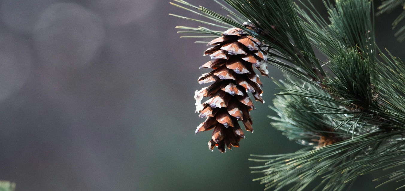 Wrapping Up 2025: Highlights That Shaped the Year