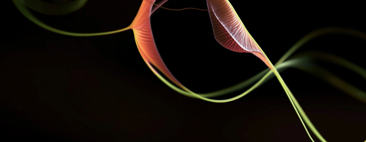 Inclusive Design: Neurodiversity and Cognitive Accessibility